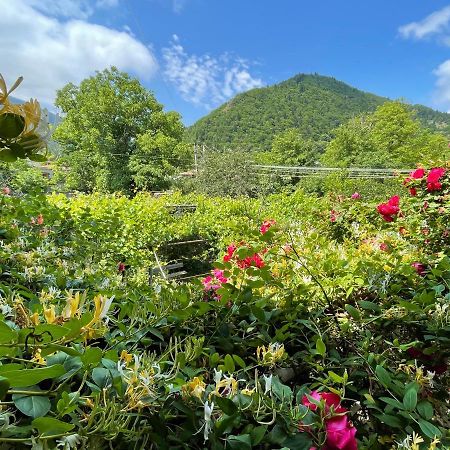 Villa Koticha Borjomi Esterno foto