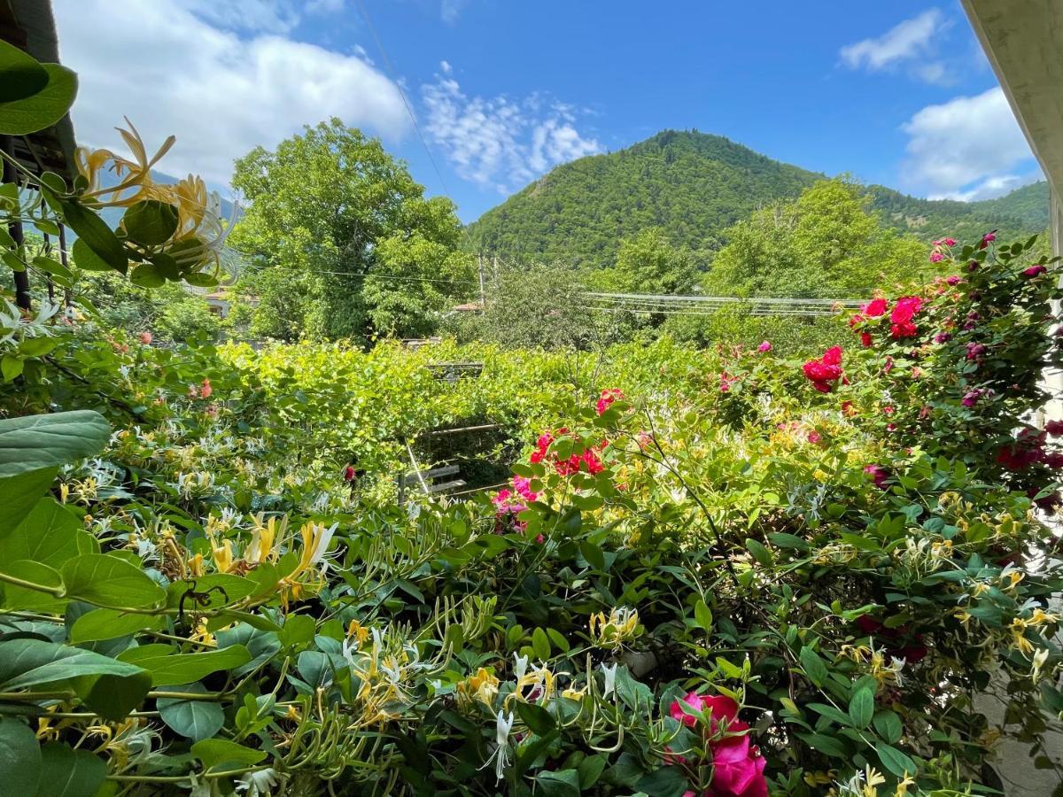 Villa Koticha Borjomi Esterno foto